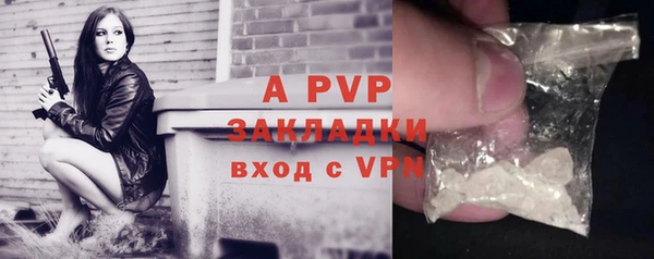 стаф Абаза
