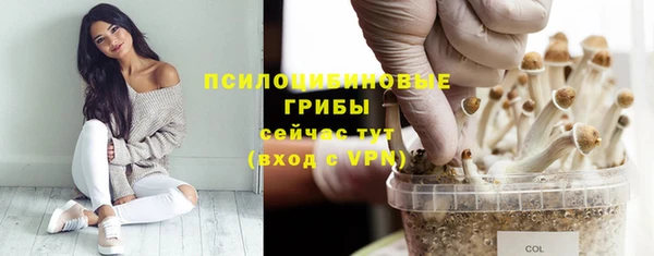 стаф Абаза
