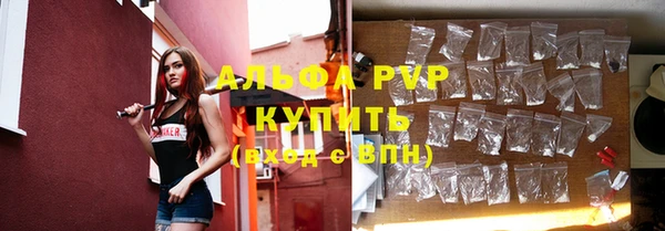 стаф Абаза
